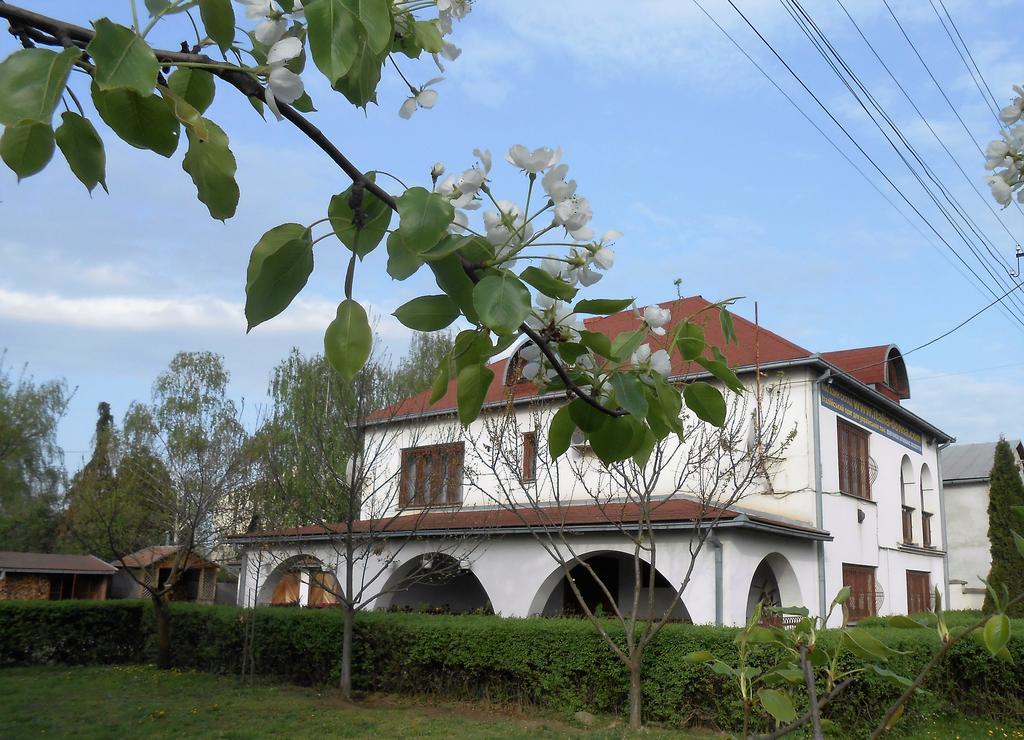 Guest House Marketti 维诺吉拉季夫 外观 照片