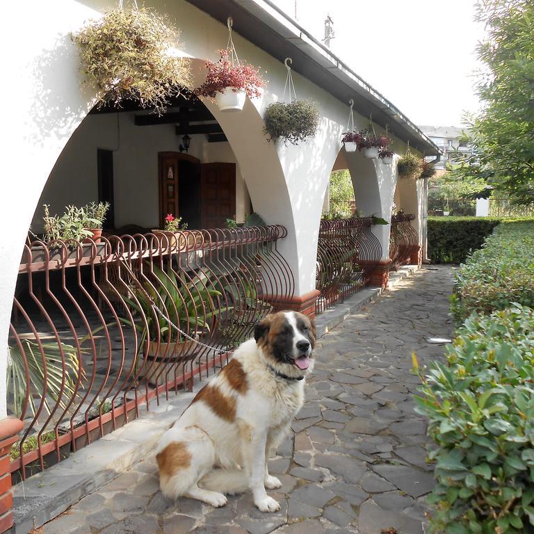 Guest House Marketti 维诺吉拉季夫 外观 照片